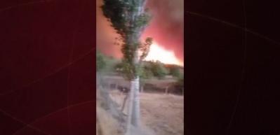Sakarya'da orman yangınına müdahale devam ediyor