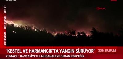 Alevler d&ouml;rt bir yanda: Bursa, Karab&uuml;k ve Kahramanmaraş'ta orman yangınları b&uuml;y&uuml;yor!