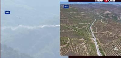 İzmir'de 6 yıl &ouml;nce yanan ormanlık alana dikilen fidanlar 2 metreye ulaştı