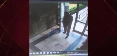 Kediyi canice &ouml;ld&uuml;ren ş&uuml;pheli şahıs tutuklandı
