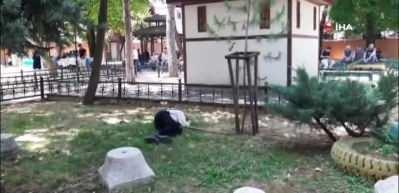 Termometreler 23 ilde 40 derecenin &uuml;zerine &ccedil;ıktı!