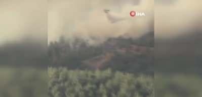 Adana'da orman yangınına 6 helikopter ve 2 u&ccedil;akla m&uuml;dahale ediliyor