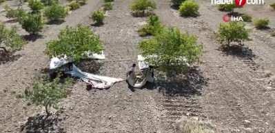 Diyarbakır'da &lsquo;Yeşil altın'ın hasadına başlandı