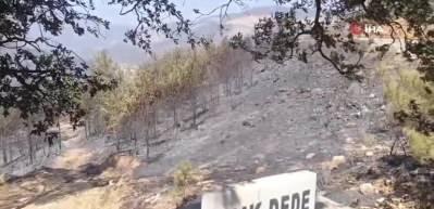 Mersin&rsquo;deki orman yangınında inanılmaz g&ouml;r&uuml;nt&uuml;: Alevler Işık Dede&rsquo;ye gelince durdu