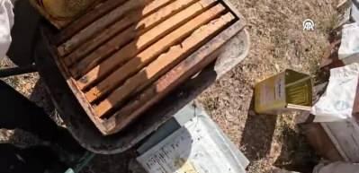 AB tescilli Bingöl Balı, ABD, BAE ve Katar yolcusu