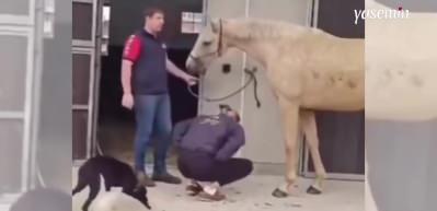 Veteriner hekimin sıra dışı evlilik teklifi sosyal medyada viral oldu!