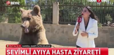 Ayı Okan muhabire saldırdı!