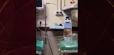 Hindistan'da korkun&ccedil; olay! Hastaneyi basan fareler bebeklerin &ouml;l&uuml;m&uuml;ne neden oldu