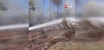 Adana Feke’de orman yangını 