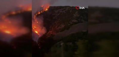 Hakkari Şemdinli'de orman yangını kontrol altına alındı