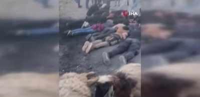 Koyun sürüsüne çarpan otomobilde 14 kaçak göçmen yakalandı