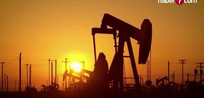 TPAO’nun petrol arama ruhsatı 2027’ye uzatıldı, iki sahada kamulaştırma kararı