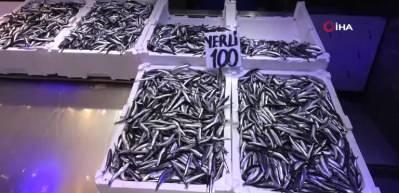 Trabzon'da hamsinin kilogramı 100 liradan satışa sunuldu