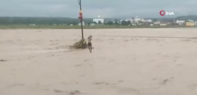 Hindistan’da sel ve toprak kaymalarında 15 ölü, 16 kayıp