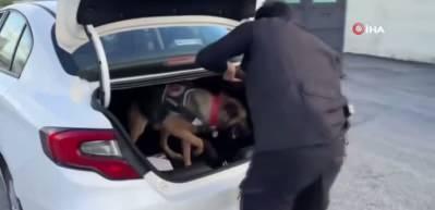 Oyuncak bebekten uyuşturucu &ccedil;ıktı