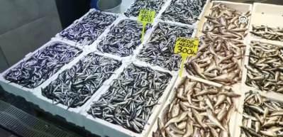 Trabzon&rsquo;da hamsi bolluğu fiyatlara yansımadı