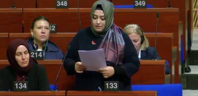 T&uuml;rk heyetini su&ccedil;lamaya kalkan Alman vekile tokat gibi cevap: Bu bir ma&ccedil; değil, soykırım