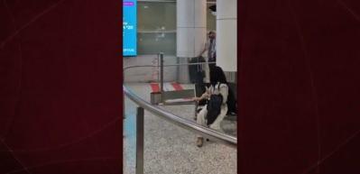 Sumud Filosu aktivistleri Sydney Havalimanı’nda tekbirlerle karşılandı