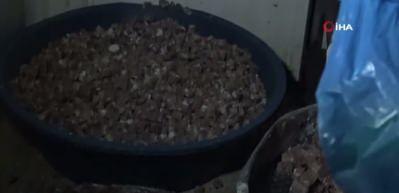 1 ton bozuk eti piyasa s&uuml;receklerdi ekipler kıskıvrak yakaladı, Şoke eden g&ouml;r&uuml;nt&uuml;ler...