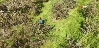 Yumaklı: Kahverengi kokarcaya karşı 1 milyon hanede ilaçlama yapıldı