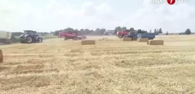 TÜİK tarım ürünlerinin üretim rakamlarını açıkladı