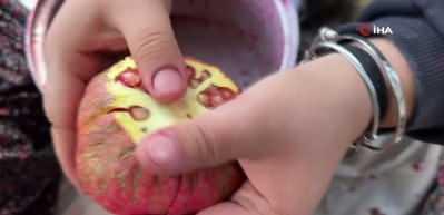 Aksekili kadınlardan doğal lezzet: Elde yapım nar ekşisi kilosu 600 liradan alıcı buluyor