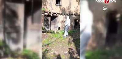 Bakanlık kahverengi kokarca için harekete geçti! 40 ilde seferberlik ilan edildi!