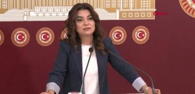 DEM Parti'li Koçyiğit: Tezkerelere 'hayır' oyu vereceğiz