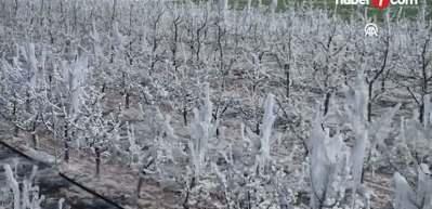 Resul Kurt açıkladı: 13 milyar 221 milyon TL'lik destek hayırlı olsun