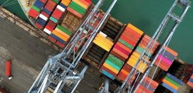 Türkiye, 9 ayda deniz salyangozu ihracatından 10,6 milyon dolar kazandı