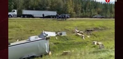 ABD'de tuhaf olay! 'Hastalıklı maymunlar' alarma geçirdi! 