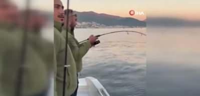 Gemlik Körfezi'nde balıkçıların oltasına köpek balığı takıldı