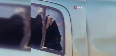 Gümüşhane’de ayı park halindeki araca saldırdı