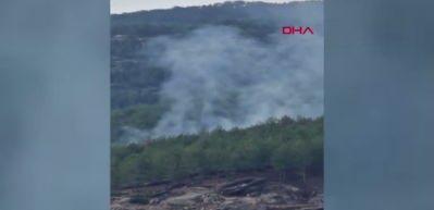 Muğla’da 1 hektar orman yandı