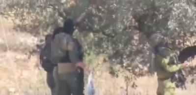 İsrail askerleri Batı Şeria'daki zeytin ağaçlarına göz dikti: Hırsızlık kameralara böyle yansıdı