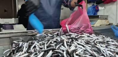 Yaz sıcakları palamudu vurdu, yerini hamsi aldı