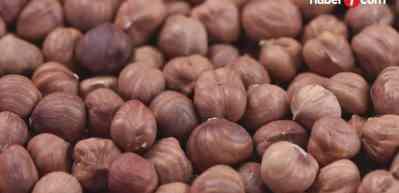 Fındık ihracatı 10 ayda 1,8 milyar doları aştı