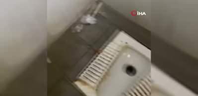 Bolu'da Hayreddin Tokadi Türbesi'nde tepki çeken görüntüler