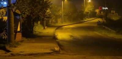 Çakallar Bartın şehir merkezini mesken tuttu