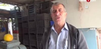 Çanakkale'de tasarladığı aletle kurutup kilosunu 500 TL'den satıyor