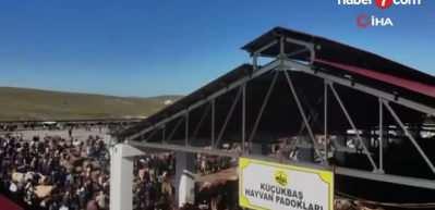 Şap salgını gerçekten bitti mi? Bakanlık aşı oranını açıkladı, iddialara dava açtı