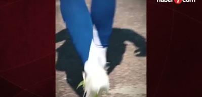 Galatasaray'dan olaylı ayrılan Morata, İtalya'da kriz yaşıyor