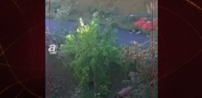 Kastamonu'da günlerdir kayıp anne ve çocuğunun görüntüleri ortaya çıktı