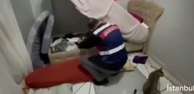 Sibel casusluk operasyonunda gözaltına alınan 2 kişi tutuklandı