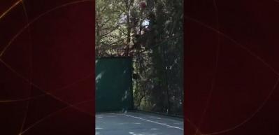  Suriye Cumhurbaşkanı Ahmed Şara hünerlerini sergiledi!