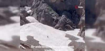 Serengetiyi aratmayan görüntüler! Ayının avlandığı anlar dron ile görüntülendi