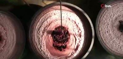 Zeytin hasadı başladı, Marmarabirlik'ten 70 bin tonluk alım ve 50 milyon dolarlık ihracat hedefi