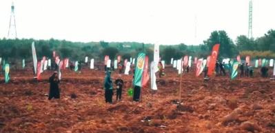 11 Kasım Milli Ağaçlandırma Günü'nde çifte rekor!