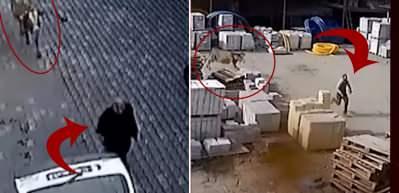 İnek dehşeti!Ahırdan ka&ccedil;an kızgın hayvan &ouml;n&uuml;ne gelene saldırdı!