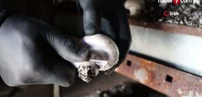 Bakanlık desteğiyle mantar üretim çiftliği kurdu